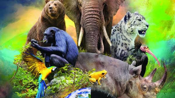 The Impact of Climate Change on Biodiversity: How to Save Endangered&nbsp;Species